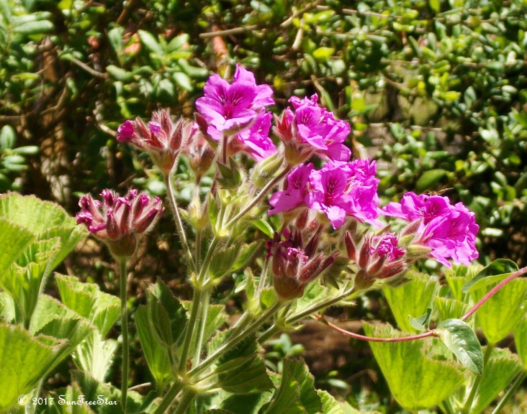 100_2288 (1280x1006)