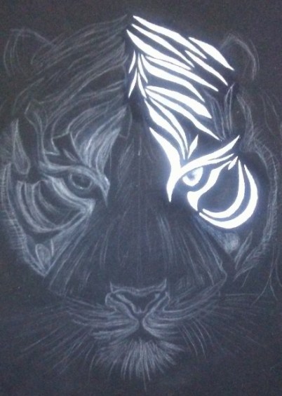 20170710_205852 (450x800)