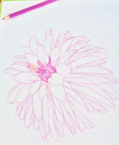 20170808_110921_Burst01 (1051x1280)