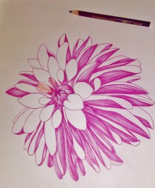 20170808_130556 (1055x1280)