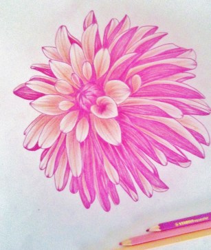 20170810_115501_Burst01 (1081x1280)