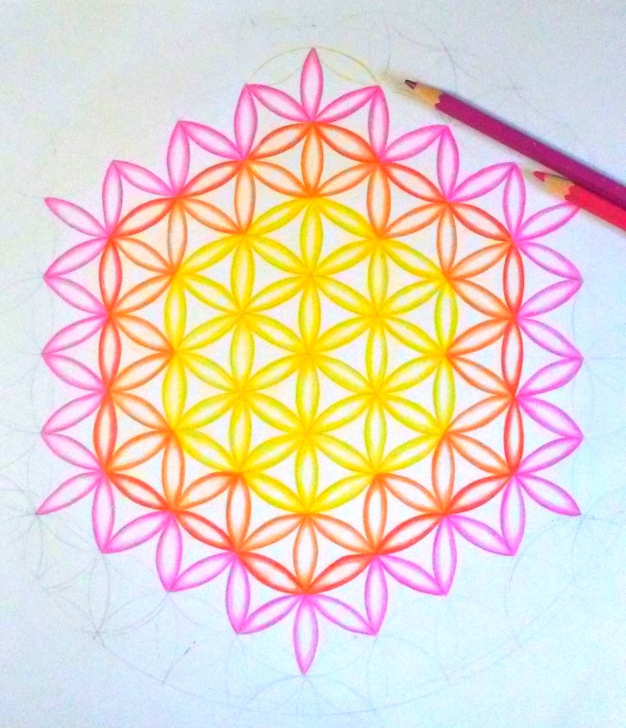 drawing flower of life