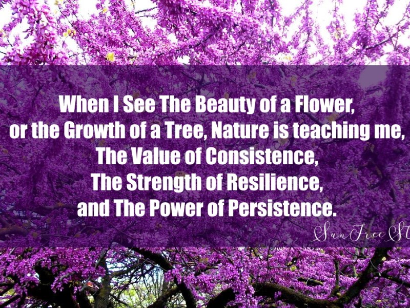 What I have learned in 4 years on&nbsp;WordPress