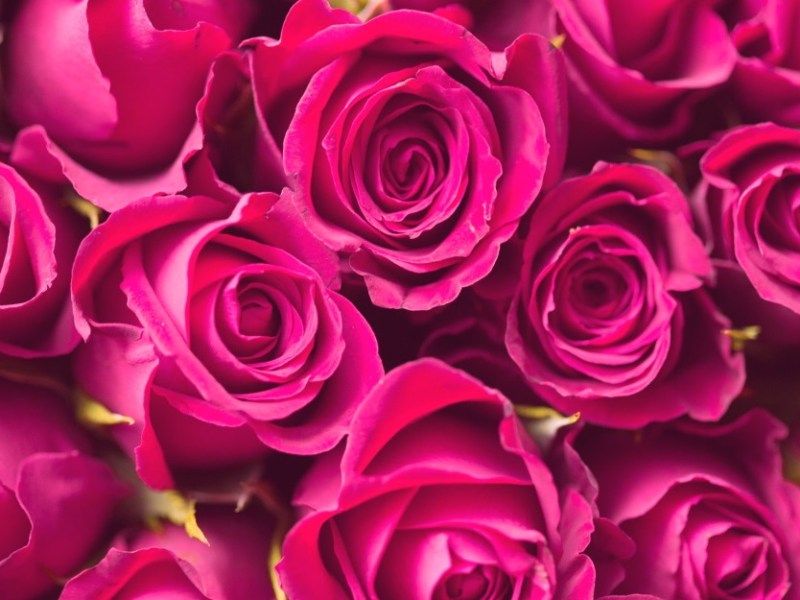 Mother’s Day 2021 Personalized Gifts&nbsp;Ideas